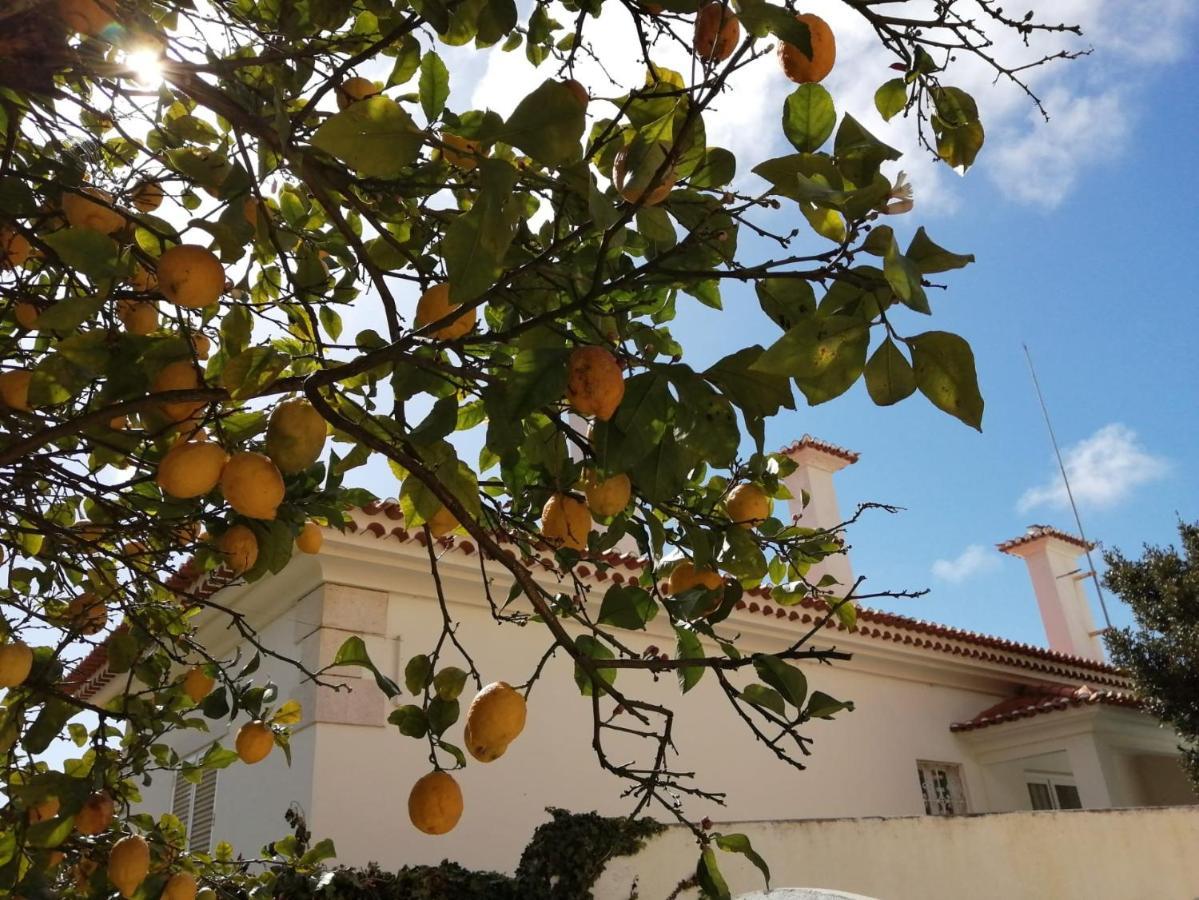 Limmo Garden - Alto Do Estoril Cascais Exterior photo